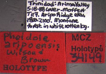 Media type: image;   Entomology 34149 Aspect: labels
